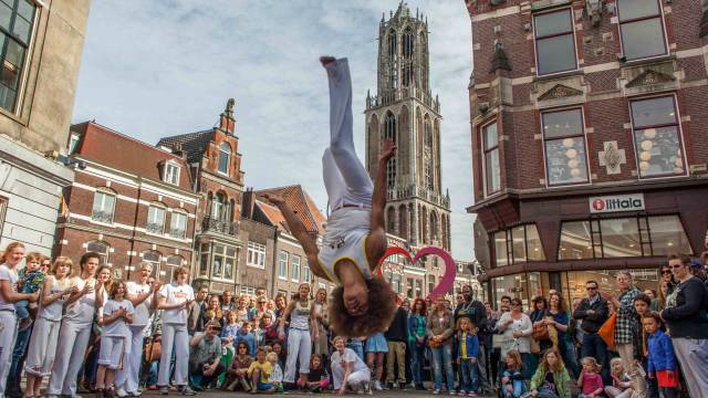 Capoeira show en workshop